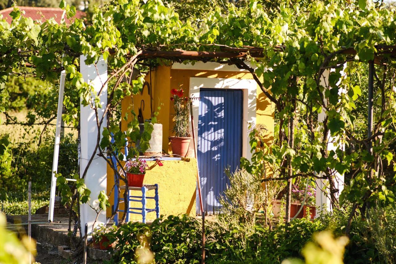 רודה Villa Doreta מראה חיצוני תמונה